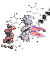 DNA
